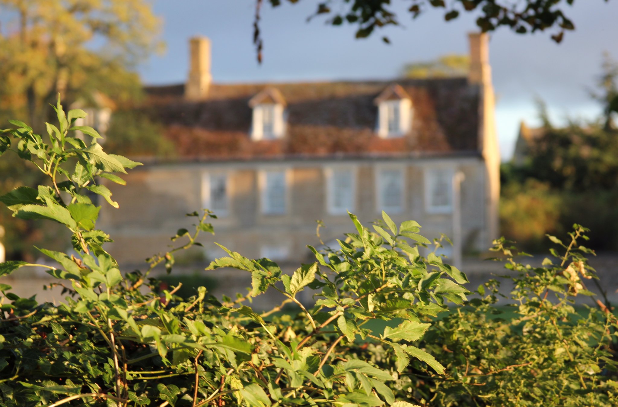 7365EE2F-E2FA-42F0-BF1E-32652747B5BE