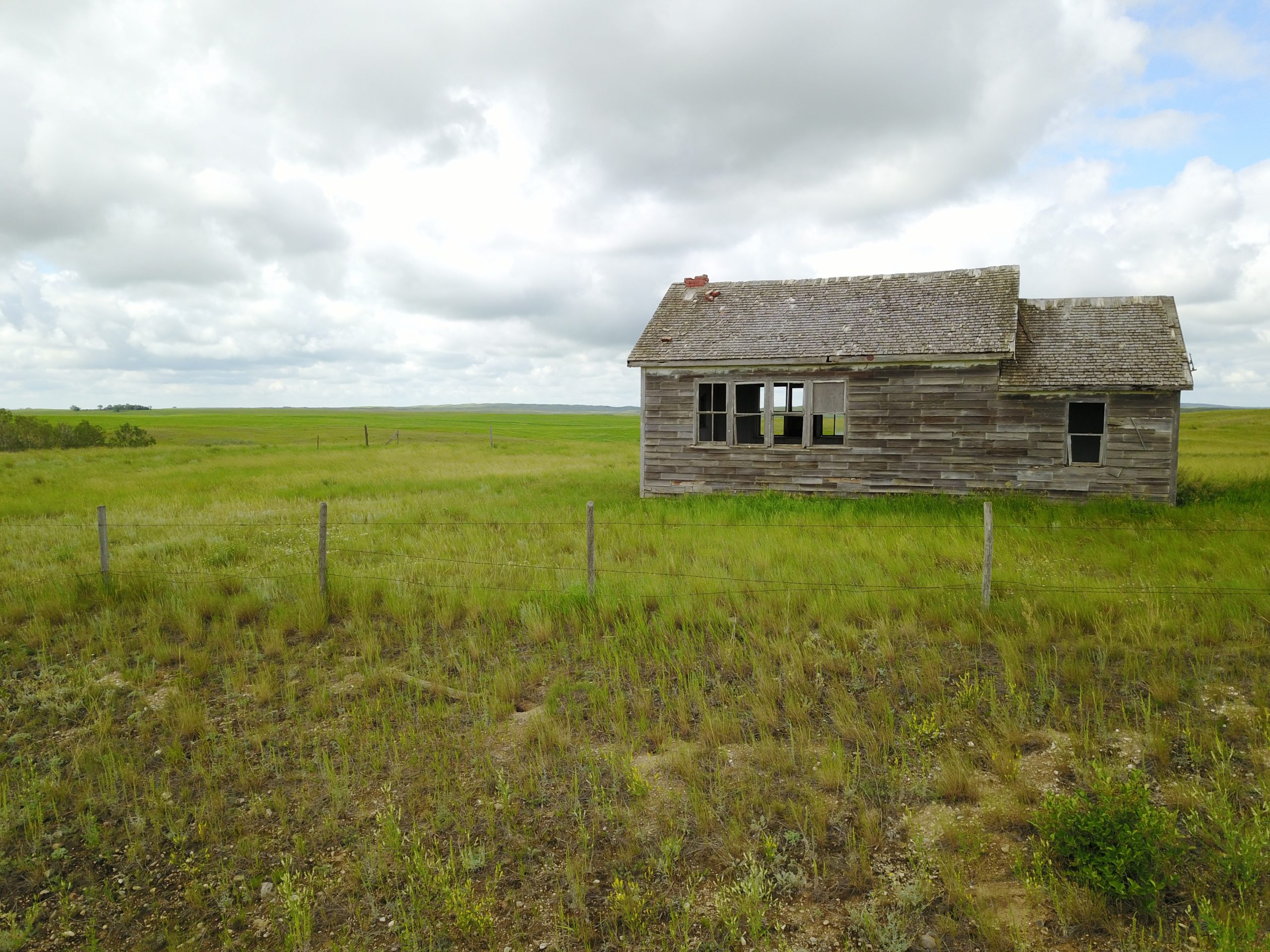 E61173E0-4884-4981-A617-CCFD81FE7433-scaled