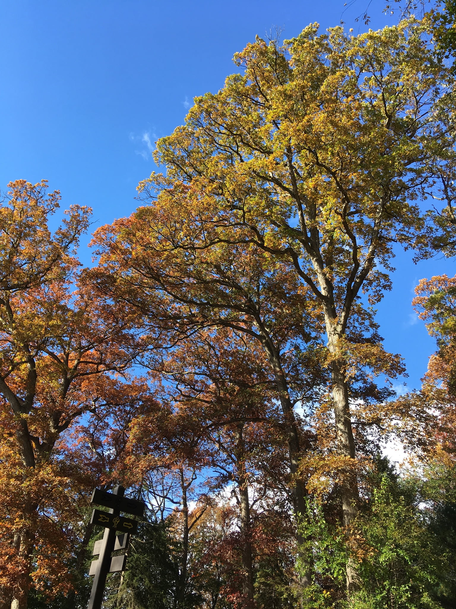 F0A3E8EA-6FE6-4ED8-A759-D79053F8435C