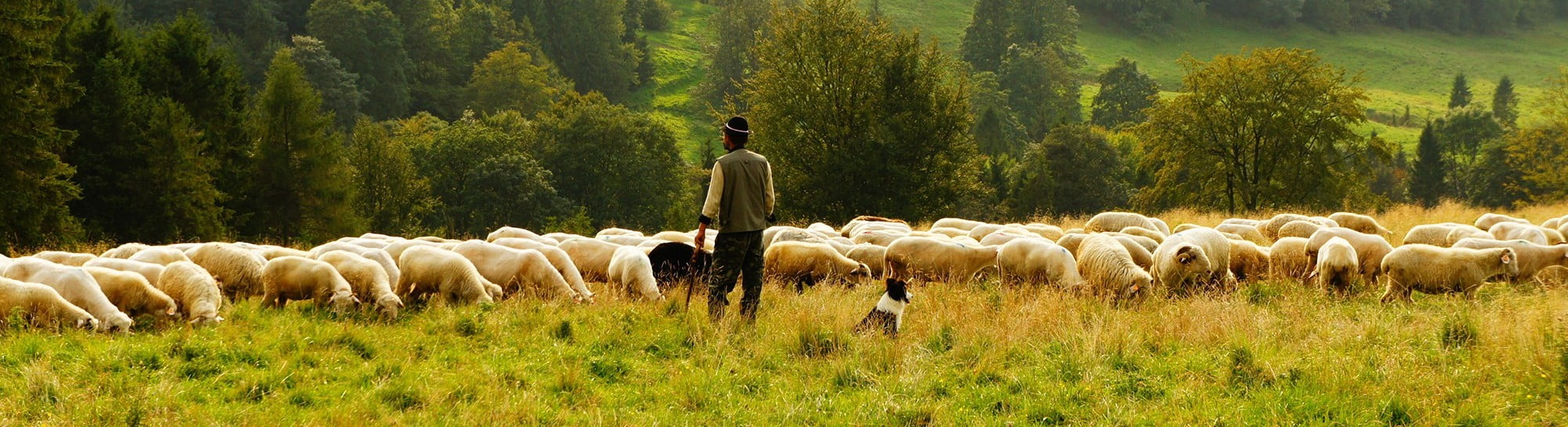 photo-1423766111988-c47a5ff6ed06_header-e1450110096942