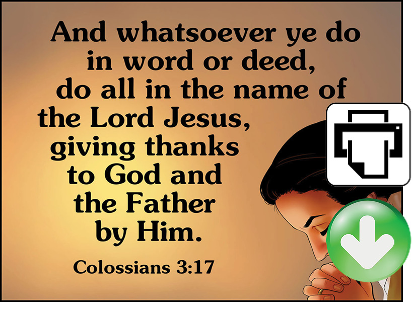 5720 Filling a Little Space - Image 15