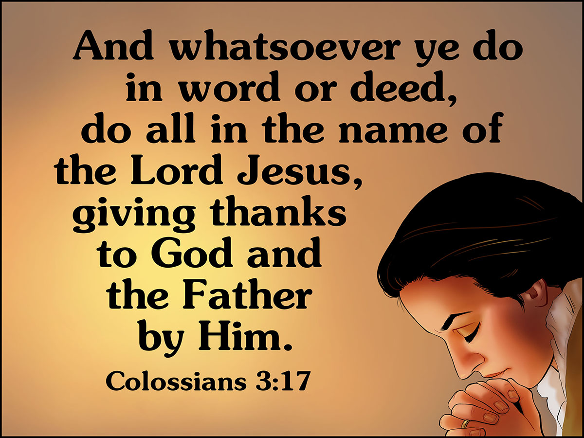 5720 Filling a Little Space - Image 3