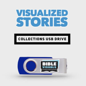 BVI Visualized Story Collection USB Flash Drive
