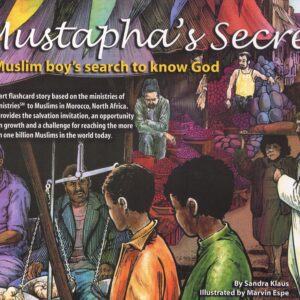 5290 Mustapha's Secret